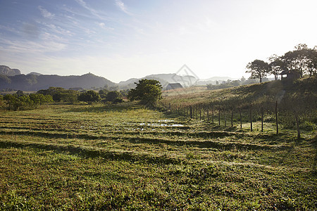 古巴著名的烟草种植区 日落时 维纳莱斯山谷图片