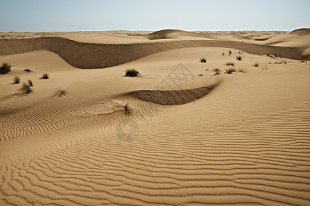 沙漠的巨沙丘 地球上沙漠的生长海浪自然购物中心旅游戈壁日落旅行阴影太阳爬坡图片