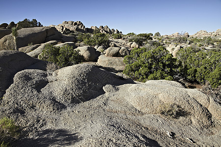 美国约书亚树林国家公园中的蓝天空岩石图片