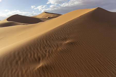 沙漠沙丘被美丽温暖的晨光照亮 Sand Dune图片