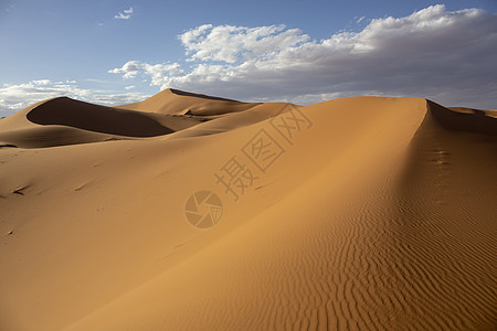 摩洛哥 Merzouga 附近的金色沙丘图片
