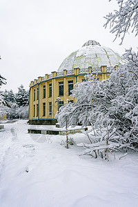 白雪覆盖公园 有树木间的道路天气蓝色国家小路白色场景季节场地森林天空图片