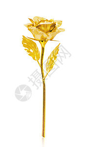 金玫瑰在风琴背景上被孤立橙子剪纸花瓣礼物宏观花束剪裁叶子植物群小路背景图片