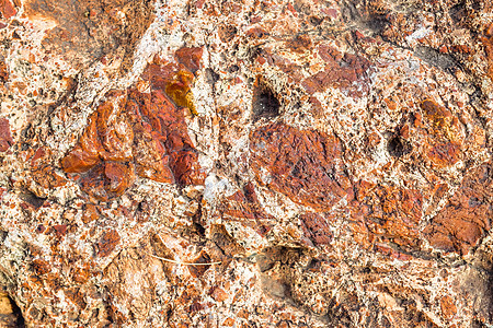 石头的结构 如玄武岩或花岗岩宏观苔藓地衣绿色红色棕色图片