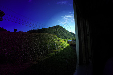 从火车铁路看 曲线弯曲穿过美丽的天然绿色草原和山脉 泰国旅游 效果饱和机车车站爬坡旅行结构文化运输铁轨风景森林图片