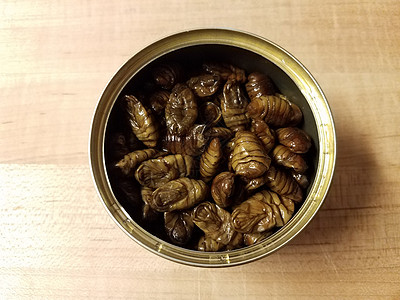 木材切割板上的虫或昆虫的金属罐头食物臭虫美味木头棕色幼虫砧板小吃图片