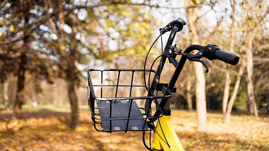 黄色自行车 日落时落叶子 在秋天公园旅行古董运动车轮晴天蓝色工作运输建筑学花园图片