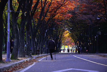 秋天或秋天在韩国南部仁川渡江公园村庄景观城市旅行建筑学地标日落建筑天空公园图片