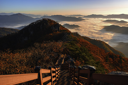 秋天清晨薄雾 在南韩首尔千马山峰顶森林岩石荒野国家旅游爬坡公园阳光墙纸叶子图片