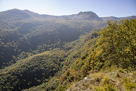 阿布鲁佐国家公园绿色山峰环境叶子森林丘陵山脉小径风景树木图片