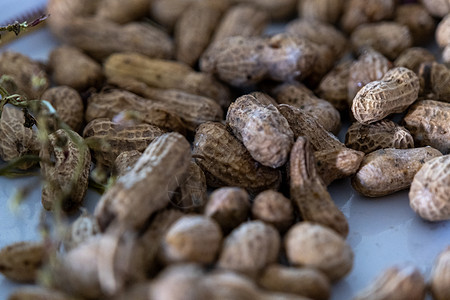 背景模糊和选定焦点的煮花生的特写图片