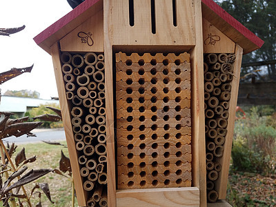 木制蜂房或有小洞的蜂房昆虫野生动物动物房子蜂巢木头嵌套图片