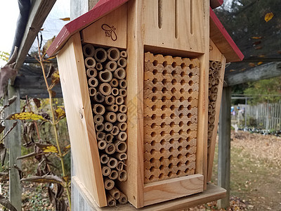 木制蜂房或有小洞的蜂房昆虫蜂巢嵌套野生动物房子木头动物图片