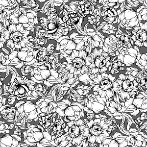 无缝模式与牡丹花的图画植物群情调牡丹植物植物学叶子绿色草图线条玫瑰图片
