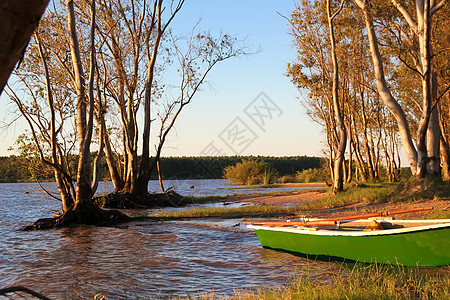 乌拉圭河沙沙滩日落 乌罗亚河晴天独木舟联合会热带旅行森林假期日出木头天空图片