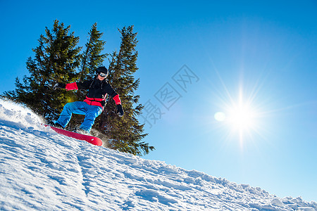 滑雪运动员在太阳尼日登上山峰红雪板 滑雪和冬季运动天空乐趣季节娱乐粉末假期男人速度云杉滑雪板图片