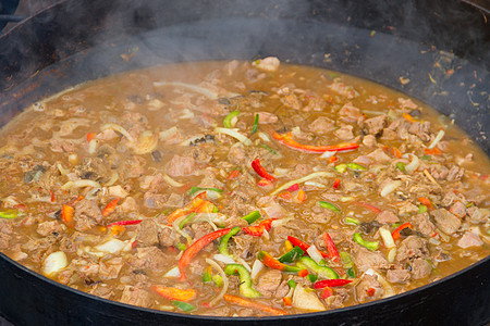 阿根廷通食式典型的犁盘食物 用于种植场地粮食磁盘玉米烹饪土地营养肉类香料耕作图片