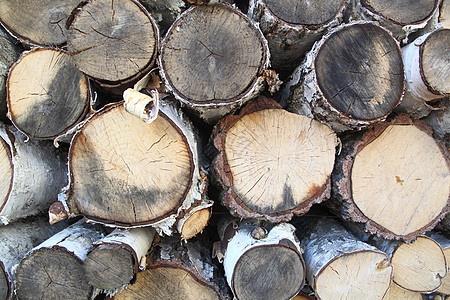 木制背景植物圆圈树木材料树桩白色木头木材粮食树干图片