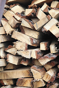 切伯克林业环境库存桦木壁炉记录圆圈松树材料活力图片