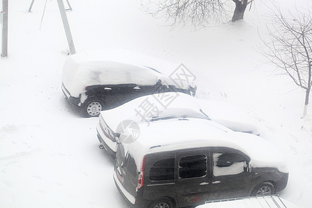 汽车风暴气候白色场景车辆降雪季节暴风雪街道运输图片