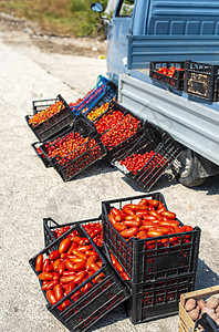 小意大利阿波小卡车加西红柿 农民在T上出售西红柿杂货店绿色食物水果销售店铺农场蔬菜摊位农贸市场图片