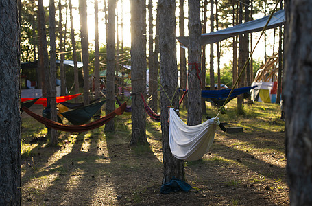 林子里的树上挂着吊床 森林里阳光照耀的早晨旅游阳光树木潮人季节野营假期旅行营地太阳图片