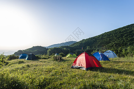 山上有许多帐篷 森林里阳光照耀的早晨闲暇树木太阳松树乐趣公园旅游冒险旅行绿色图片