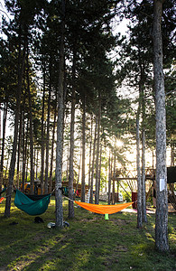 林子里的树上挂着吊床 森林里阳光照耀的早晨旅游季节野营太阳绿色潮人树木假期旅行营地图片