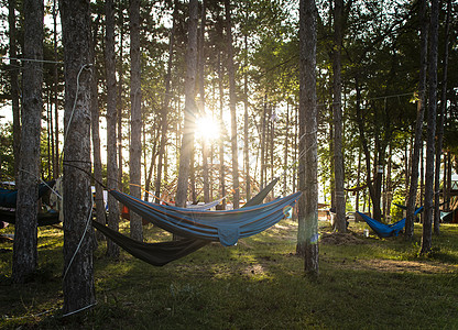 林子里的树上挂着吊床 森林里阳光照耀的早晨潮人假期季节旅游野营营地树木旅行太阳绿色图片