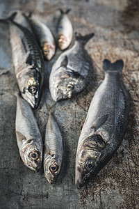 浅鱼 深面包上的海丁鱼 海贝斯 竹鱼和沙丁鱼海鲜摊位团体食物钓鱼低音动物图片