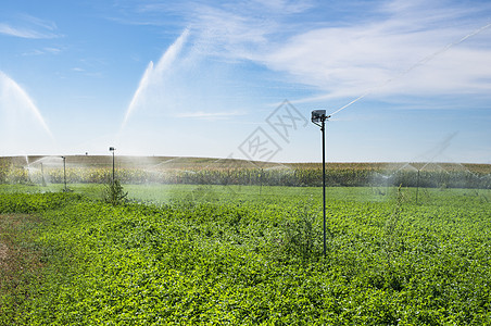 田间喷水灭水器农场园艺技术农业生长土地花园植物场地灌溉图片