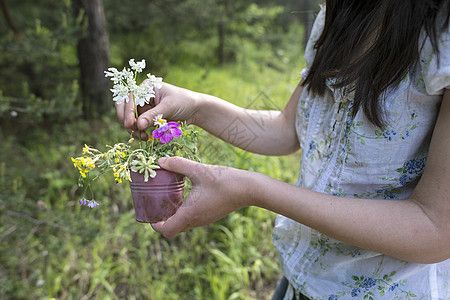 女人收集野花头发绿色女性草地花束篮子场地植物园艺花朵图片