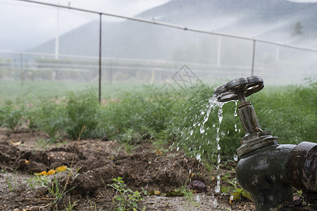供水厂用管道和自来水绿色工业龙头软管花园压力园艺洒水器环境管子图片