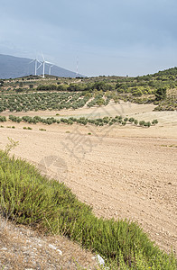 风涡轮机和橄榄树土地爬坡绿色技术天空地平线环境生态农场发电机图片
