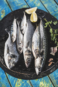 生鱼 海丁鱼 海贝斯 鹦鹉和沙丁鱼海鲜烹饪柠檬盘子鲭鱼午餐食物油炸蓝色平底锅图片