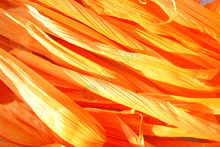 橙色背景艺术墙纸海报叶子古董材料金属橙子羊皮纸玉米图片