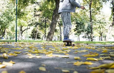 带滑板的男孩乐趣闲暇公园木板溜冰者青少年娱乐男性树叶运动图片