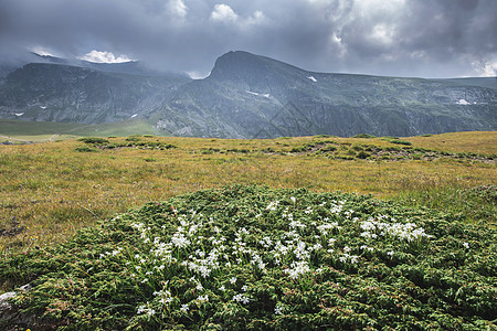 高山地貌景观旅游公园环境戏剧性草地场景石头风景荒野多云图片