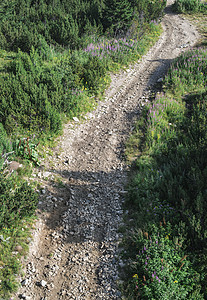 山区公路松树岩石山脉道路乡村天空公园绿色缠绕风景图片