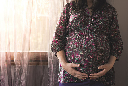 孕妇向窗边的窗口女性怀孕房间父母女士窗户女孩生活母亲腹部图片