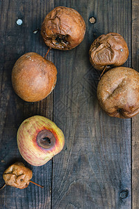 木材上的苹果腐烂红色花园农场水果垃圾堆肥棕色农业白色食物图片