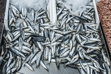 市场上的冰上鱼海洋食物海鲜钓鱼店铺动物销售烹饪图片