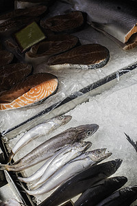 储存中的鲑鱼营养柜台鳟鱼零售饮食红色市场生产产品店铺图片