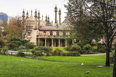 英国布赖顿的皇家王室传说住宅情调风格柱子旅游英语圆顶异国亲王城堡图片