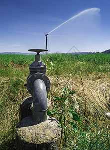 农业灌溉系统蔬菜薄雾园艺农场植物草地洒水器技术喷雾器生长图片