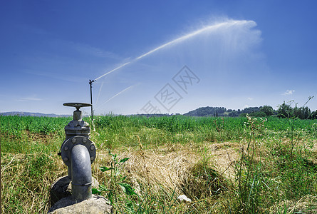 农业灌溉系统草地薄雾喷雾器农场花园机器洒水器场地生长土地图片