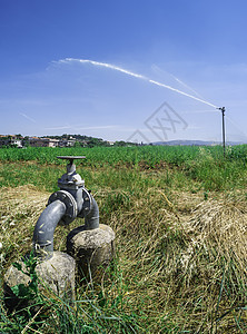 农业灌溉系统生长场地技术草地薄雾蔬菜园艺洒水器花园喷雾器图片