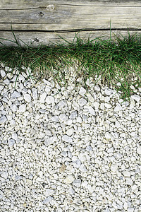 绿草和石头绿色公园园林人行道岩石路面绿化胡同房子小路图片