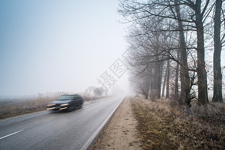 雾中路上的汽车图片