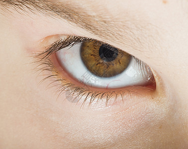 人类眼棕色女性鸢尾花皮肤瞳孔眼皮成人白色光学反射宏观图片